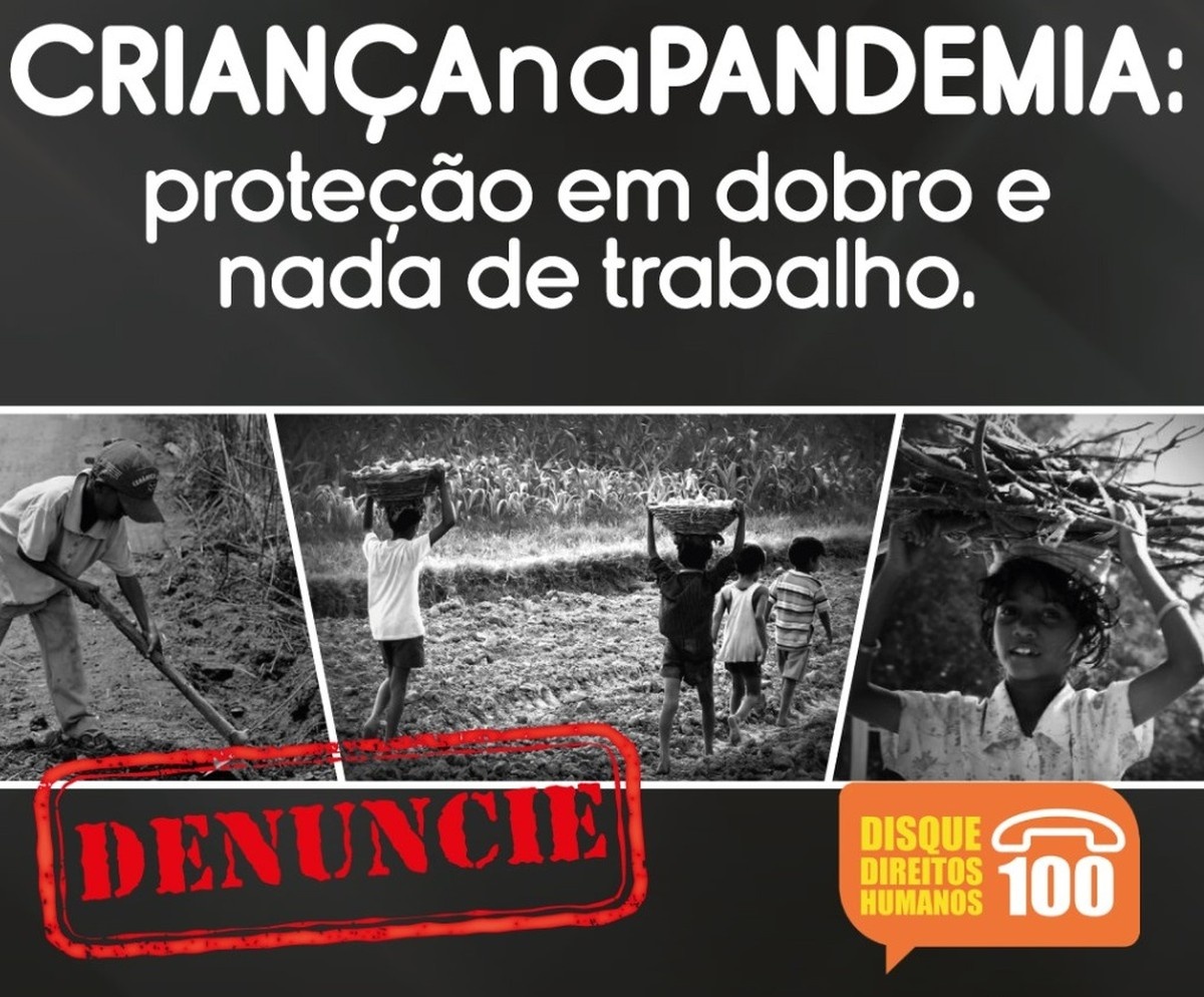 Campanha Do MPT Alerta Para Consequências Do Trabalho Infantil   Ed